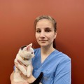 Фотография специалиста Сулима Мария Игоревна