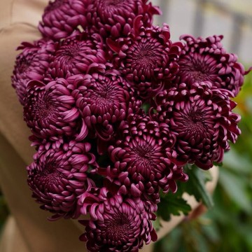 Салон цветов и подарков Пион фото 3