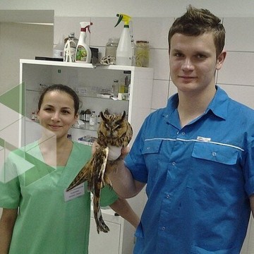 Ветеринарная клиника ОБЛ ВЕТ на Народной улице фото 2