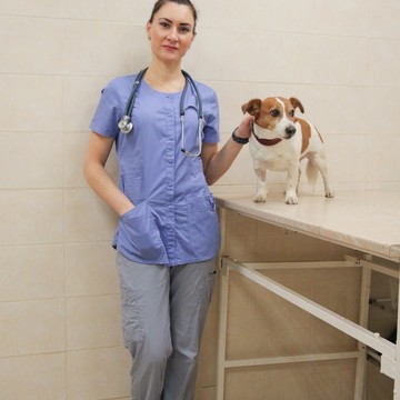 Ветеринарный кабинет Прованс на Новоясеневском проспекте фото 1