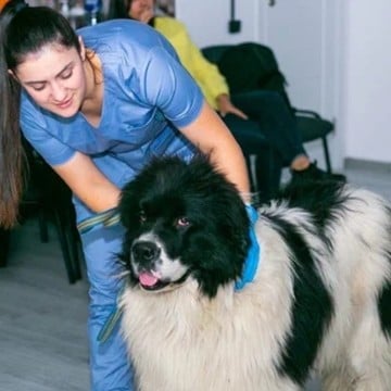Ветеринарная клиника в Челябинске VEDA фото 1