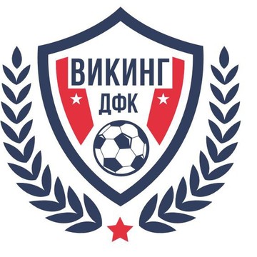 Детский футбольный клуб Викинг фото 3