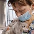 Фотография специалиста Токмакова Марина Станиславовна
