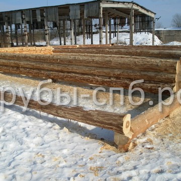 Срубы домов и бань фото 1