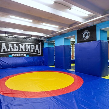 Клуб смешанных единоборств Пальмира на Будапештской улице фото 1