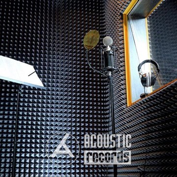 Студия звукозаписи Acoustic Records на Мичуринском проспекте фото 3