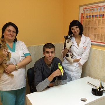 Ветеринарная клиника в Дзержинском фото 2
