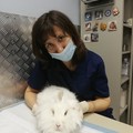 Фотография специалиста Федорова Лариса Николаевна