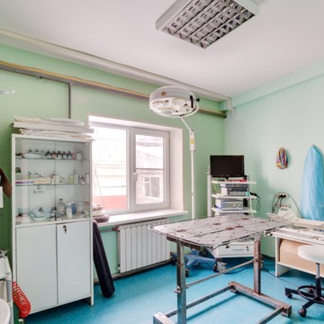 4 лапы+ фото 1
