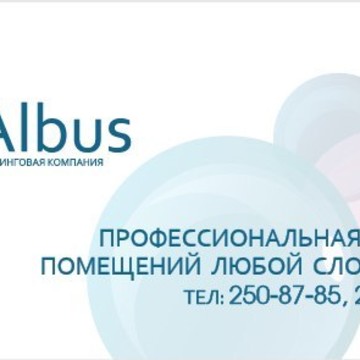 клининговая компания Альбус фото 1