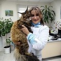 Фотография специалиста Вильчевская Зинаида Эдуардовна