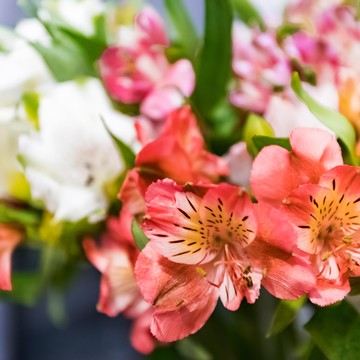 Магазин Цветы 24 фото 2