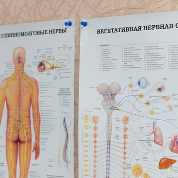 Кабинет мануального терапевта на улице Короленко фото 2