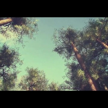 ООО Радиан фото 1