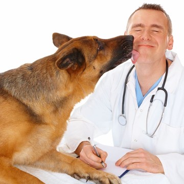Ветеринарная клиника PetHealth 24 фото 3