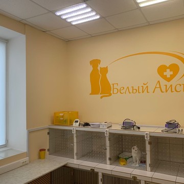 Ветеринарный центр Белый Аист в Невском районе фото 2