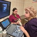 Фотография специалиста Симонова Оксана Валерьевна