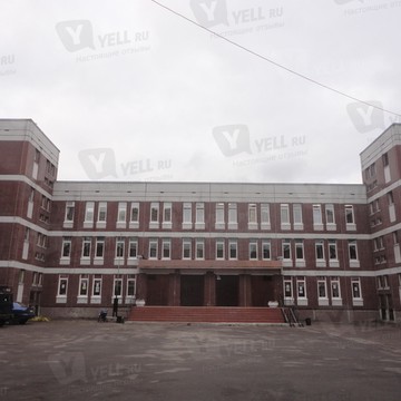 TERRA School Школа иностранных языков фото 2