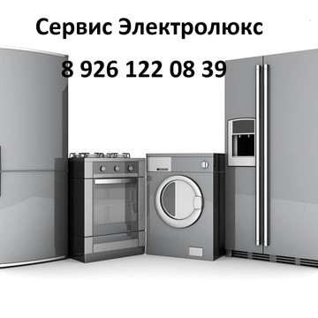 Сервис Электролюс в Балашихе фото 1