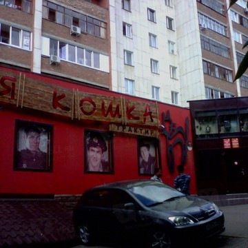 Ресторан Черная кошка на улице Менделеева фото 1