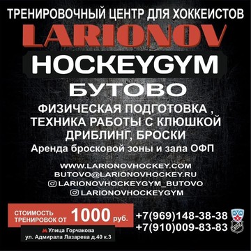 Хоккейный тренировочный центр Larionov HockeyGym фото 2