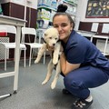 Фотография специалиста Набиева Екатерина Николаевна