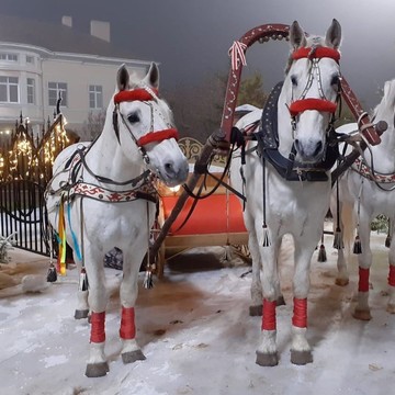 Услуги Деда Мороза и Снегурочки в Москве и области фото 1