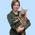 Фотография специалиста Королева Екатерина Николаевна