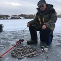 Фотография специалиста Чухванцев Александр Яковлевич