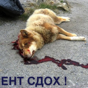 Участковый пункт полиции район Марьино на Новочеркасском бульваре фото 2