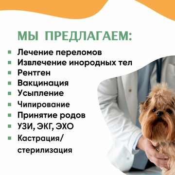 Ветеринарная служба Домашний ветеринар на улице Академика Грушина фото 2