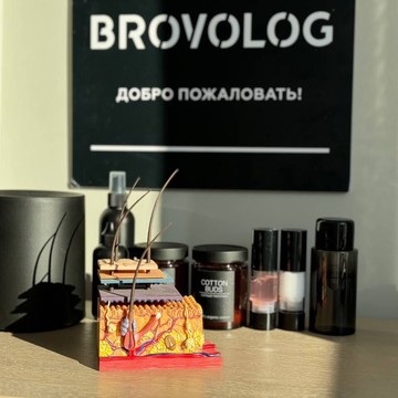 Салон бровей и ресниц Brovolog фото 1