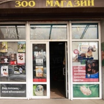 Енот на Молодёжной улице фото 1