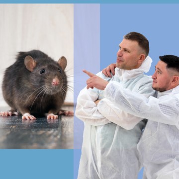 Эко СЭС Смоленск фото 2