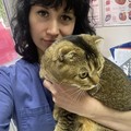 Фотография специалиста Бреусова Татьяна Борисовна