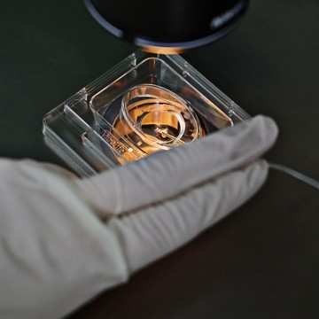 Клиника Поколение НЕКСТ фото 3