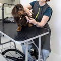 Фотография специалиста Юдкина Марина Григорьевна