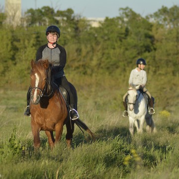 конный клуб Фаворит Конные прогулки фото 3