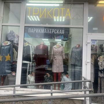 Стриж фото 2