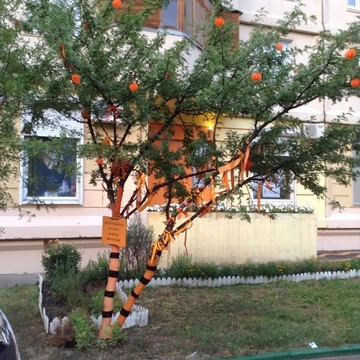 Студия KateMagic на улице Борисовские Пруды фото 1