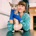 Фотография специалиста Грицаева Виктория Вячеславовна