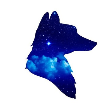 Кофейня Star Fox фото 2