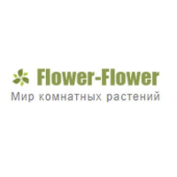Интернет магазин комнатных растений Flower-flower фото 1