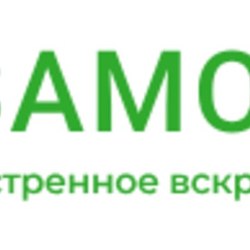 Zamokey фото 1