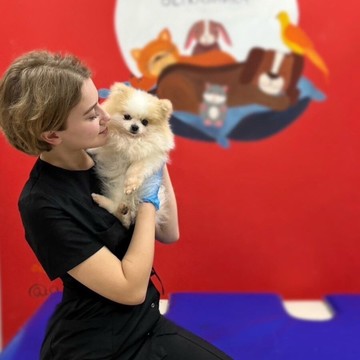 Ветеринарная клиника Айболит на Смоленской улице фото 2