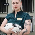 Фотография специалиста Степанова Валерия Викторовна
