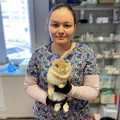Фотография специалиста Клименко Наталья Игоревна