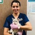 Фотография специалиста Колочева Екатерина Сергеевна