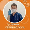 Фотография специалиста Миронов Андрей Владимирович