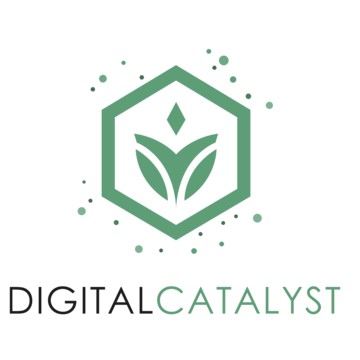 Компания Digital Catalyst фото 2